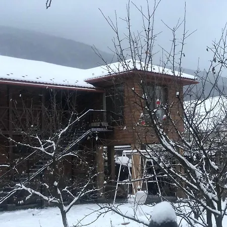 Приватна Садиба ~Smoky Mountain~ Polyana  Exterior photo